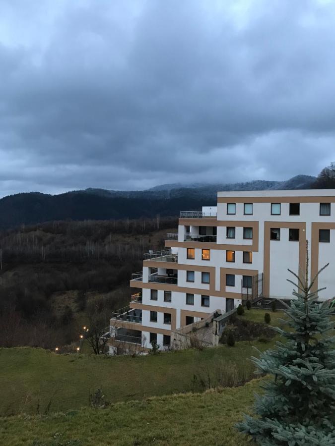 White Season Residence Брашов Екстериор снимка